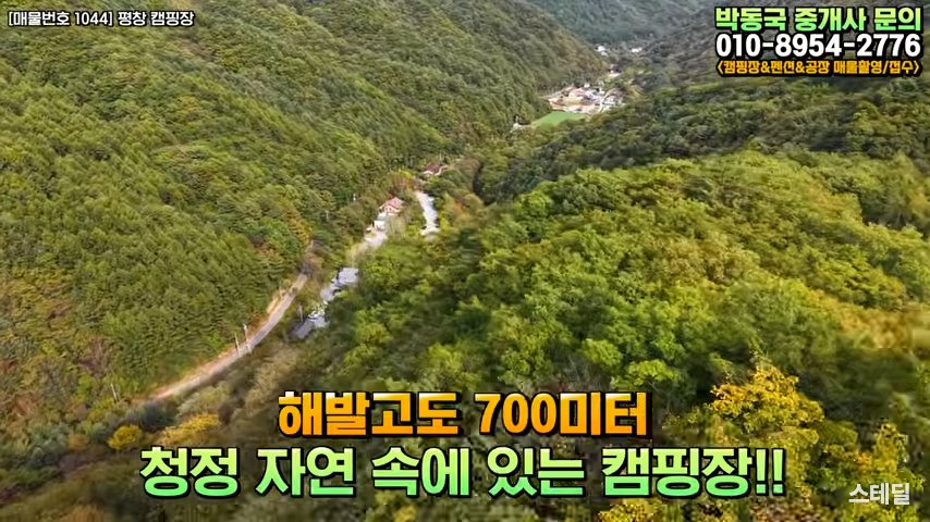 강원도 평창 캠핑장 매매 | 다이빙되는 청정계곡 품은 해발700M 평창캠핑장 사진 4
