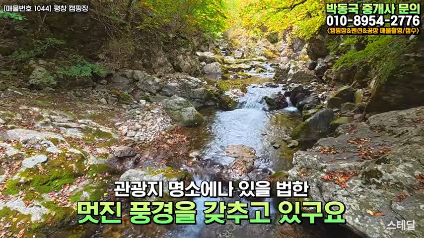 강원도 평창 캠핑장 매매 | 다이빙되는 청정계곡 품은 해발700M 평창캠핑장 사진 2