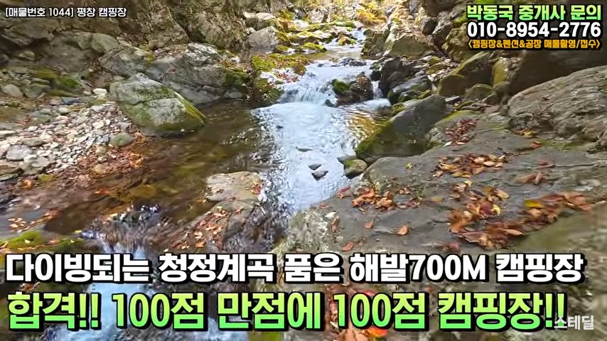 강원도 평창 캠핑장 매매 | 다이빙되는 청정계곡 품은 해발700M 평창캠핑장 사진 1