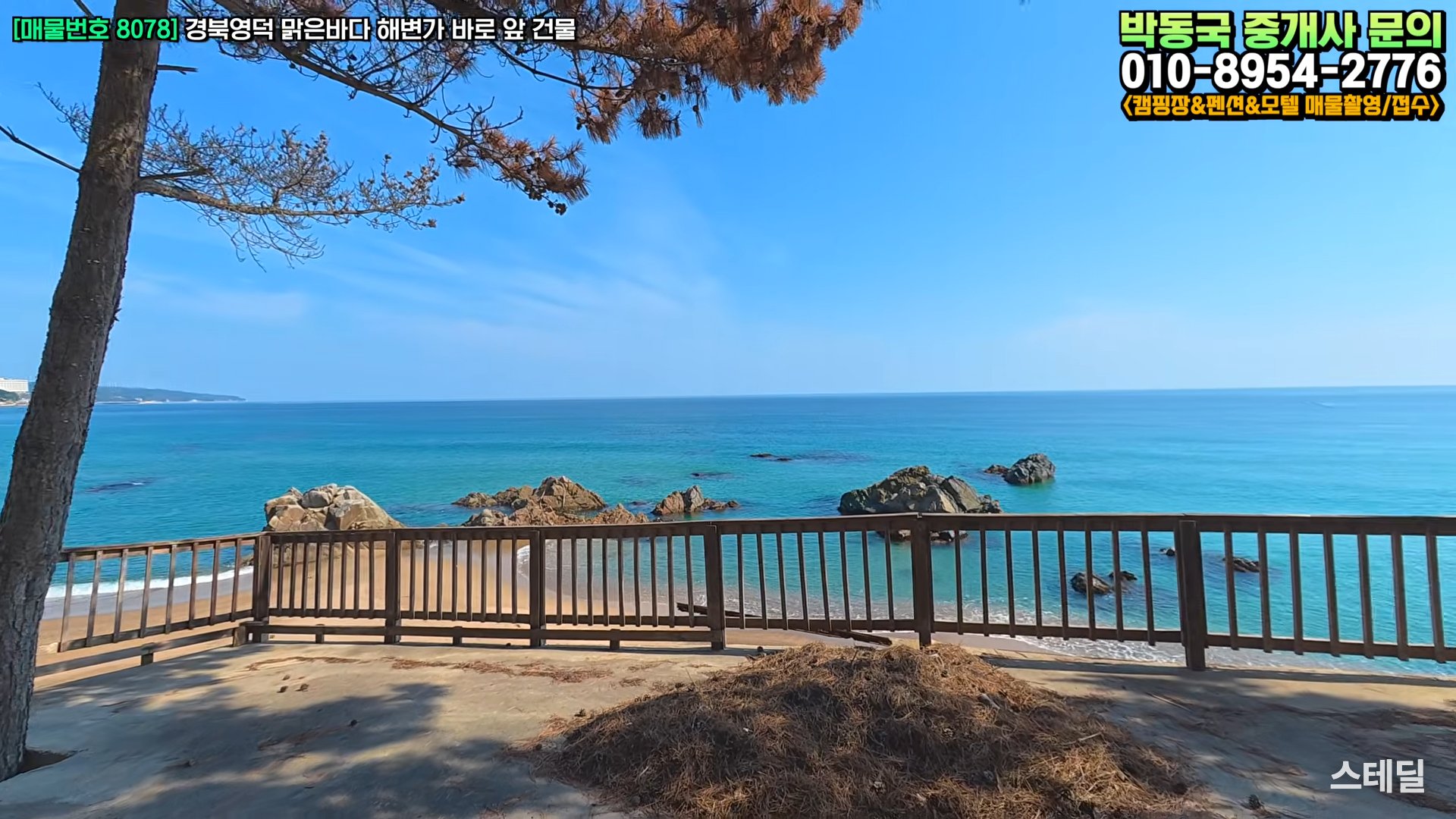 [영덕 바닷가 펜션 매매] 1층 카페 운영도 가능 사진 2